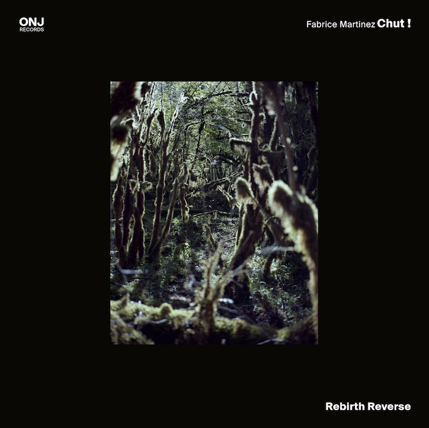 Fabrice Martinez Chut Rebirth Reverse Onj